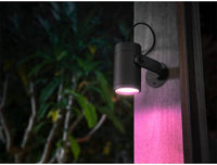 Philips Hue White & Colour Ambiance Lily Outdoor Spot Base kit, black