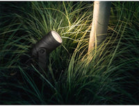 Philips Hue White & Colour Ambiance Lily Outdoor Spot Base kit, black
