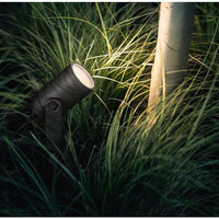 Philips Hue White & Colour Ambiance Lily Outdoor Spot Base kit, black