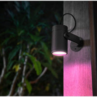 Philips Hue White & Colour Ambiance Lily Outdoor Spot Base kit, black